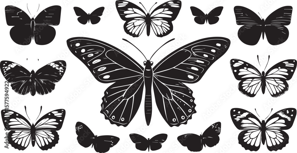 Obraz premium set of butterflies