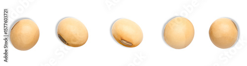 soybeans isolated on transparent background