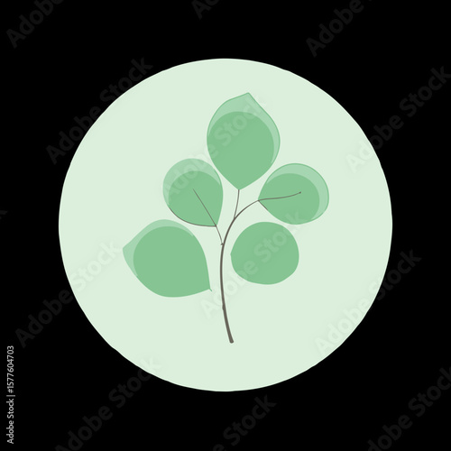 Minimalist Eucalyptus Branch Illustration Serene Botanical Design for Natural Wellness and Organic Concepts