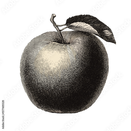 Vintage apple with leaf, perfect for culinary illustration and organic food design, copy space