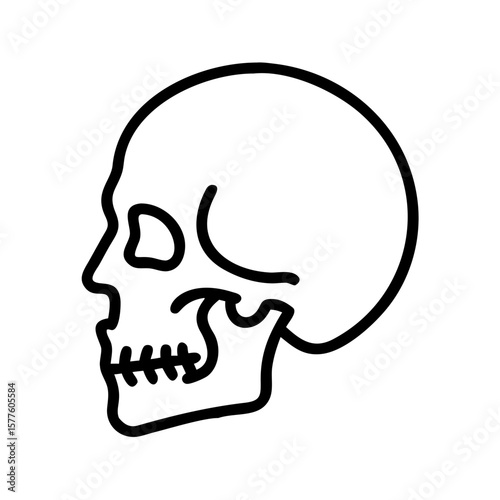 Skull side view icon on transparent background  