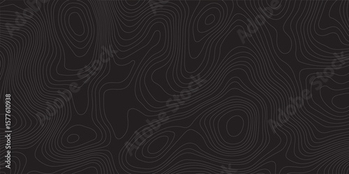 Abstract topographic map pattern with intricate lines on a dark background, ideal for design use, The black on white contours topography stylized height of the lines map.