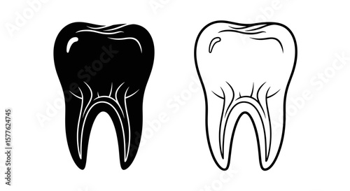 Illustration of a black solid tooth and a white outlined tooth side by side on white background