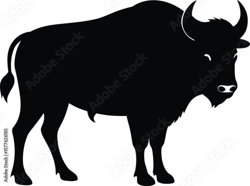Buffalo vector silhouette illustration