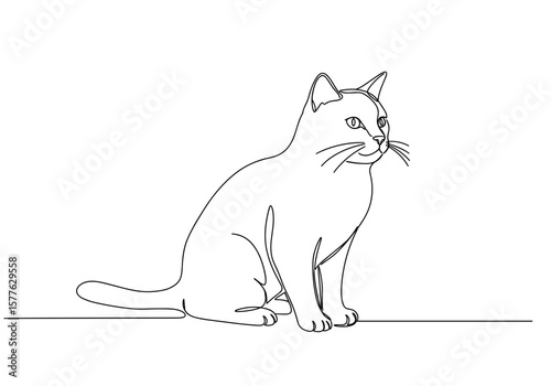 Line drawing of a cat sitting calmly on a surface  