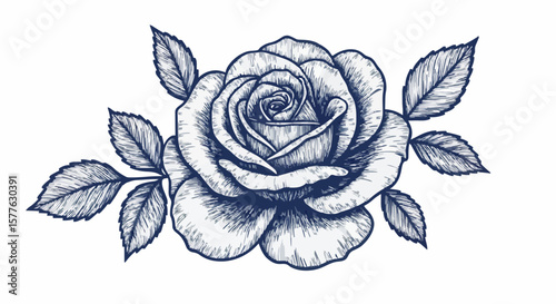 Rose porcelain decoration design (dark blue)