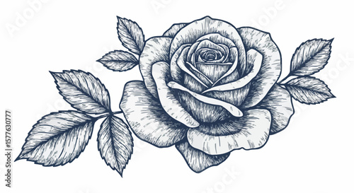 Rose porcelain decoration design (dark blue)