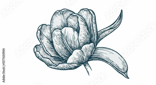 Tulip flower porcelain decoration design (dark green)