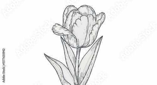 Tulip flower porcelain decoration design (dark grey)
