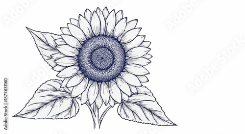 Sunflower porcelain decoration design (dark grey)