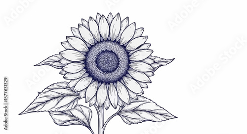 Sunflower porcelain decoration design (dark blue)