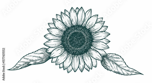 Sunflower porcelain decoration design (dark green)