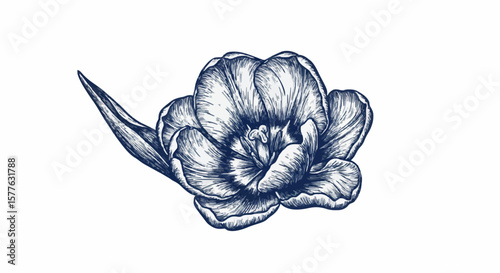 Tulip flower porcelain decoration design (dark blue)