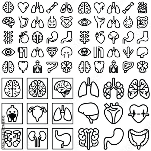 Black and White Human Organ Icons Collection Medical Anatomy Illustrations Diagrams Set