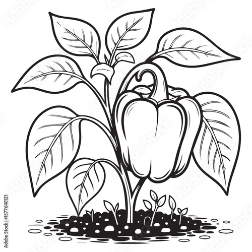 Stylized black and white line art illustration of a ripe bell pepper plant growing in fertile soil with small seedlings emerging
