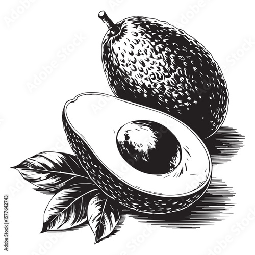 An artistic black and white illustration of a whole avocado and a halved avocado with its large seed and green leaves