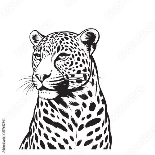 Striking black and white illustration of a leopard s head and shoulders with its distinctive spotted pattern
