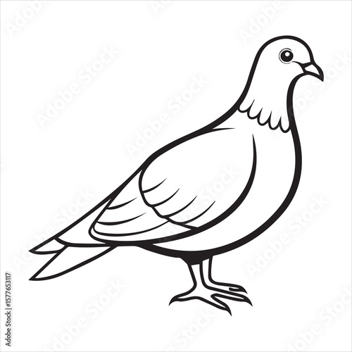 mourning dove silhouette vector art