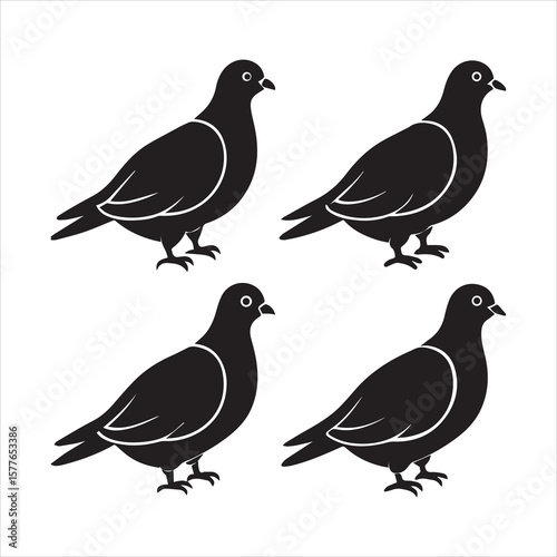 mourning dove silhouette vector art
