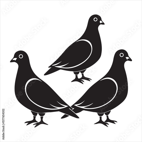 mourning dove silhouette vector art