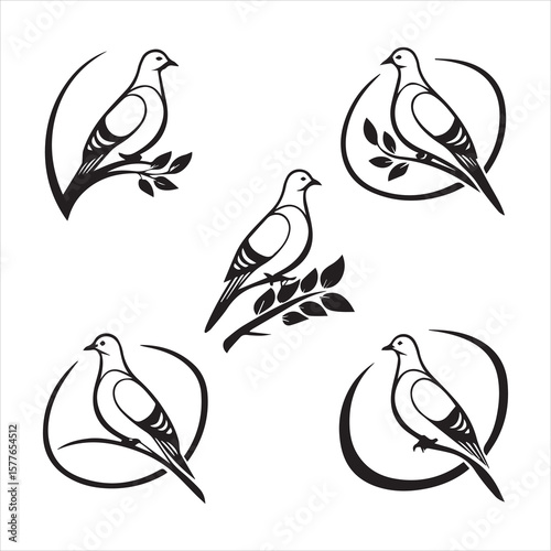 mourning dove silhouette vector art