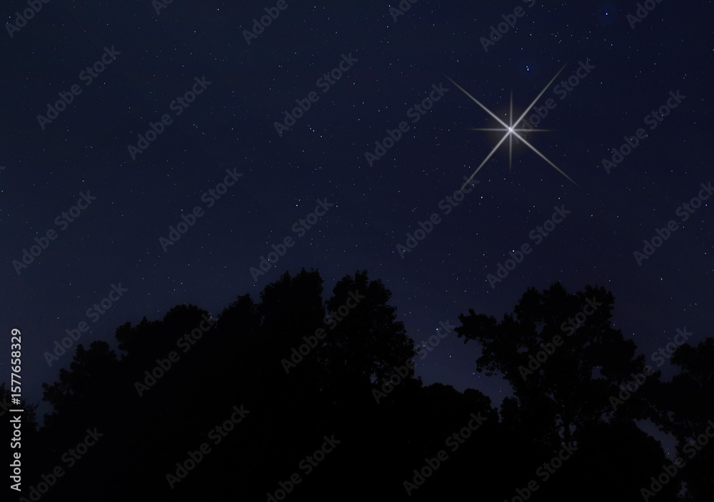 Fototapeta premium Bright Christmas Star shining in the night sky