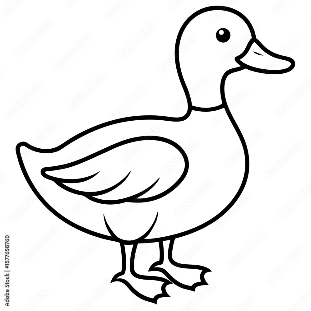 Duck line art vector Duck line art vector