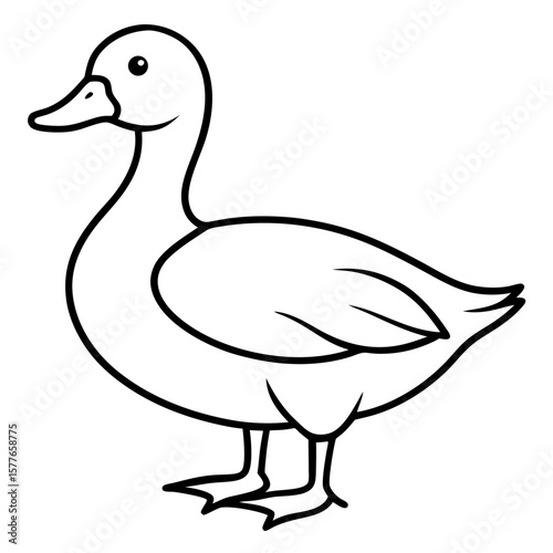 Duck line art vector