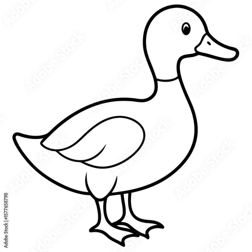 Duck line art vector