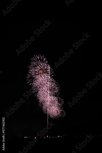 夏の夜空に咲く大輪の花火