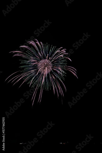 夏の夜空に咲く大輪の花火