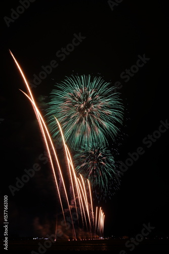 夏の夜空に咲く大輪の花火