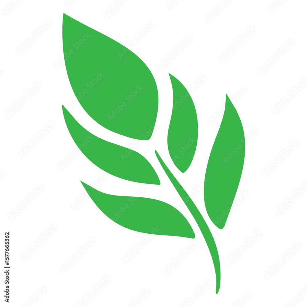 Naklejka premium Green leaf icon vector isolated on white background for nature and eco design