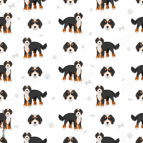 Bernedoodle dog mix clipart. All coat colors set.  Bernese moountain dog poodle mix. Vector illustration