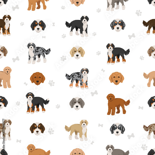 Bernedoodle dog mix clipart. All coat colors set.  Bernese moountain dog poodle mix. Vector illustration