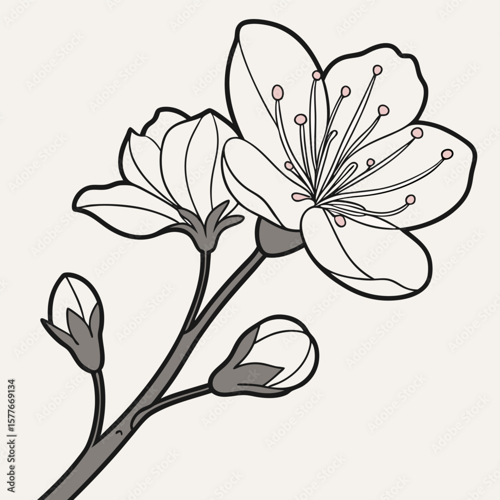 Obraz premium branch of a tree