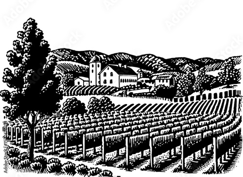 Vineyard with buildings in a stark woodcut style in black and white representing rural charm and winemaking.