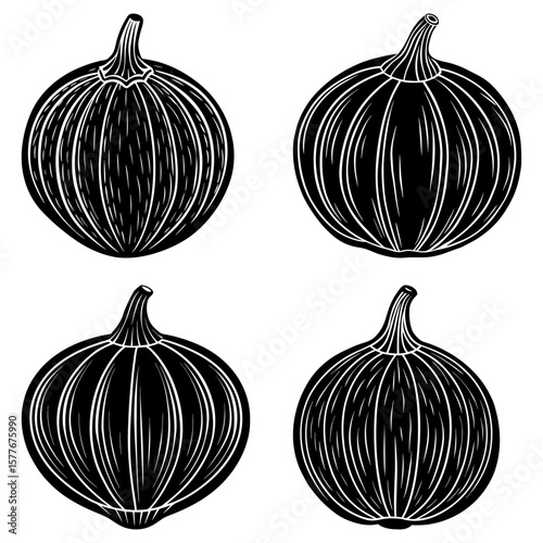 Four stylized pumpkins in black and white with vertical lines and stems on a white background design