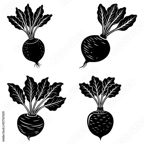 Illustration of four black and white beetroots with detailed leaves and root structures in a pattern