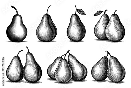 Set of pears in vintage woodblock style in black and white for food illustration