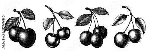 Cherry clusters in woodcut style, black and white