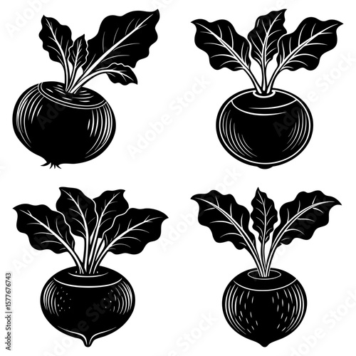 Four black and white illustrations of kohlrabi plants with detailed leaves and bulbous roots on white