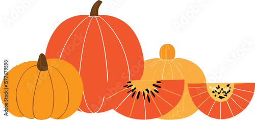 Autumn Harvest Pumpkins and Gourds Illustration