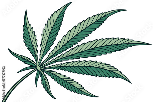 Cannabis Leaf vector