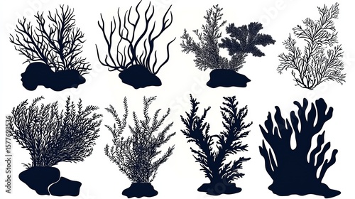 Unique vector icons showcasing various types of underwater vegetation.