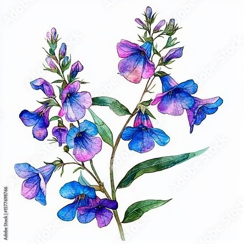 Isolated lobelia flower on a pristine white background.