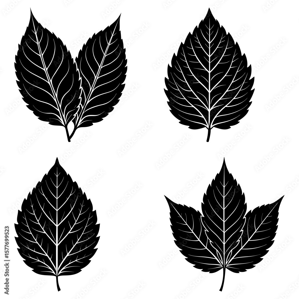Obraz premium Four black leaf illustrations with detailed veins against a white background in a simple arrangement
