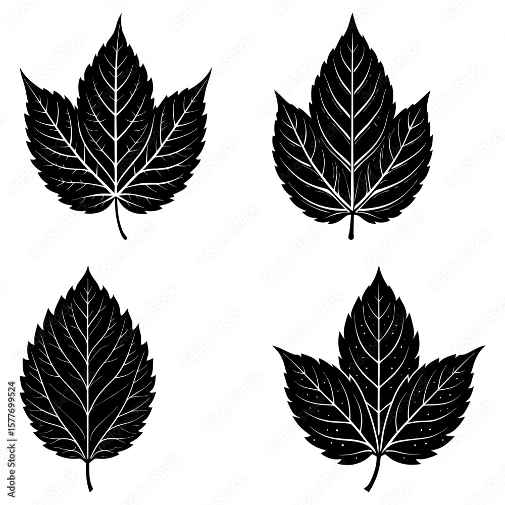 Fototapeta premium Four black and white leaf illustrations with detailed vein patterns on a white isolated background image