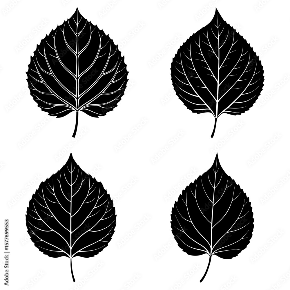 Obraz premium Four black and white leaf illustrations with detailed veins and serrated edges on a white background