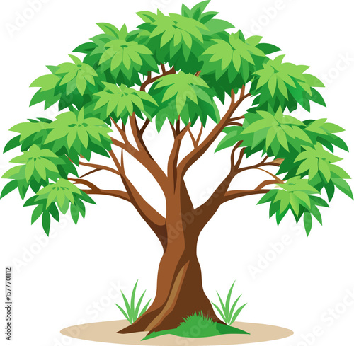 Neem Tree icon